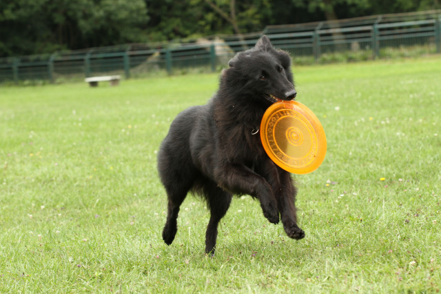 Leonie bei Frisbee